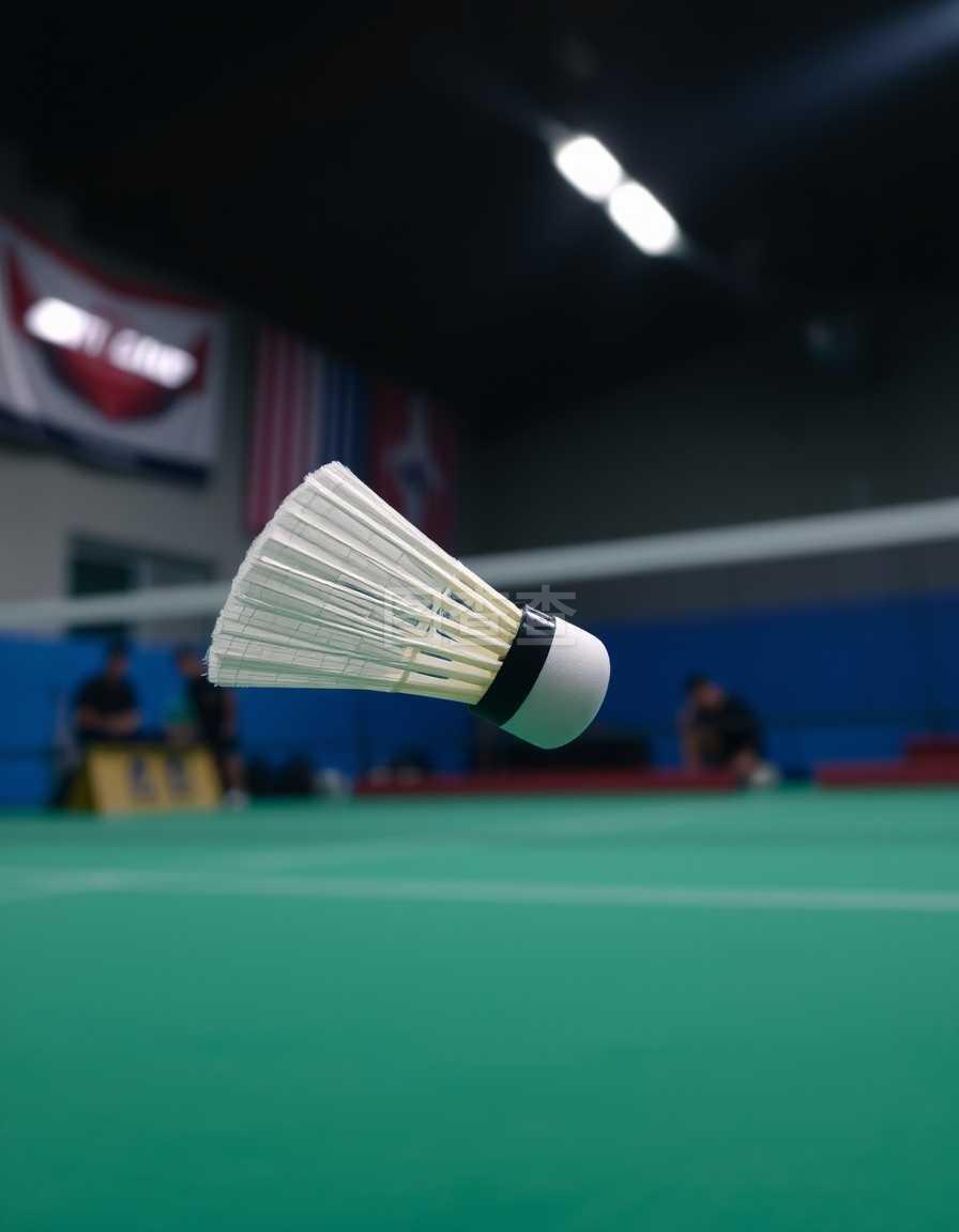 功吸引了无 功吸引了无